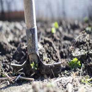 Digging Our Own Holes - Getting Rid of the Shovels