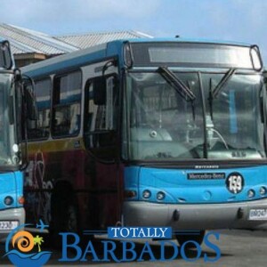 Traveling on Barbados Buses