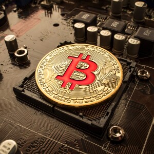 Bitcoin Bites Episode 6: Nodes: The Backbone of Decentralization