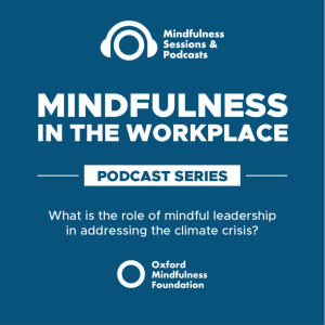 What is the role of mindful leadership in addressing the climate crisis?