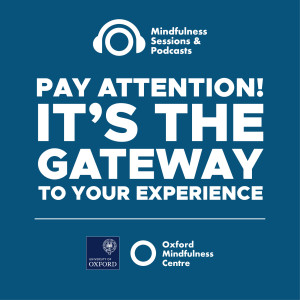 Pay Attention! It’s the Gateway to Your Experience
