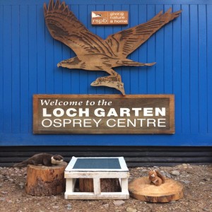 Loch Garten Osprey Podcast  - Episode 1