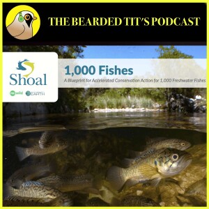1000 Fishes Project ft Georgie Bull #149
