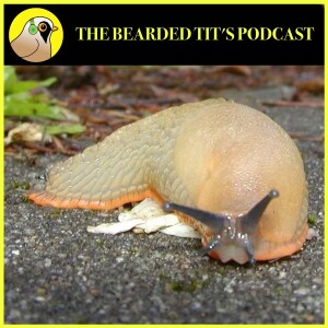Slugs: Gardeners friend or foe? ft Ben Rowson #146