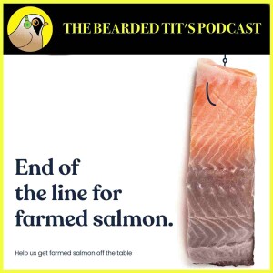 How Damaging is Salmon Farming? ft Rachel Mulrenan & Matt Palmer #125