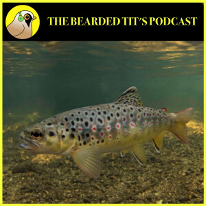 Using AI to Record Fish Numbers ft Jeff Tuhtan #170