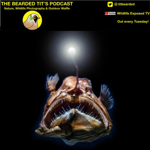 Deep Sea Gigantism ft Katrin Linse #67