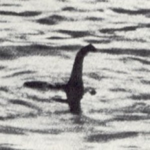 Is The Loch Ness Monster Real? ft Adrian Shine #43