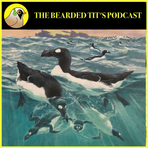 The Great Auk ft Tim Birkhead #167