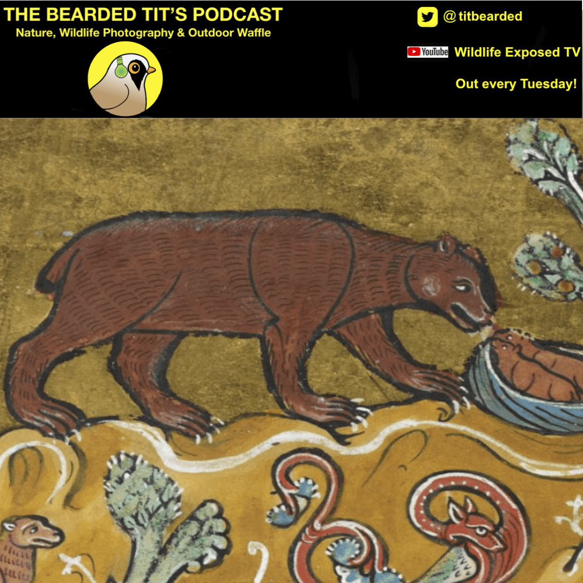 The Bearded Tit‘s Podcast
