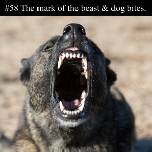 The Mark of the Beast, and Dog Bites (audio)