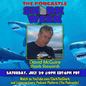 SHARK WEEK 2023: David McGuire, Shark Stewards