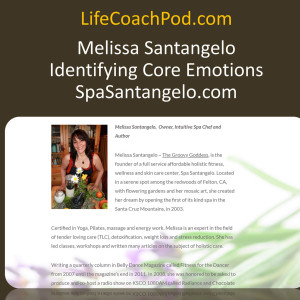 Ep 3 | Mar 26, 2020 | Identifying Core Emotions with Melissa Santangelo