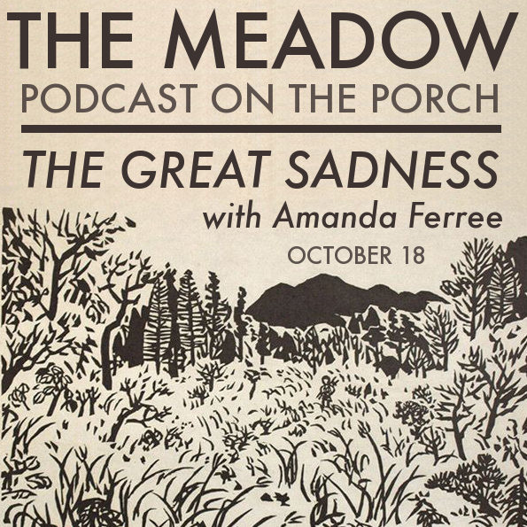 The Great Sadness - Amanda Ferree