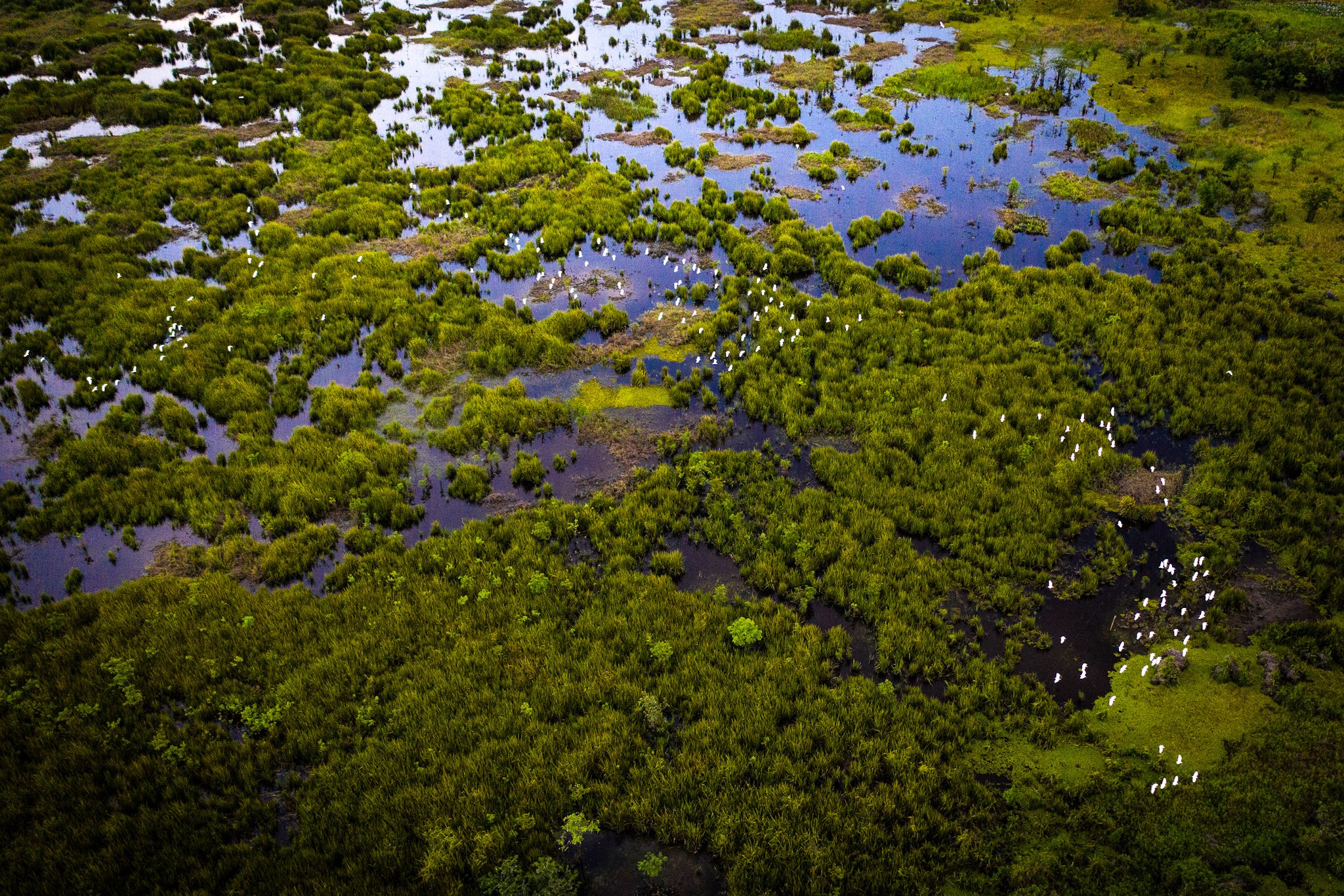 Nature Photography & The Philippines - podcast episode cover