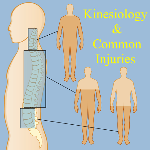 Kinesiology & Common Injuries