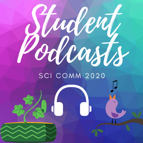 Student’s Stories S6- Part 3 - podcast episode cover