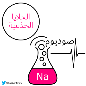 مستقبل زراعة الأعضاء: الخلايا الجذعية