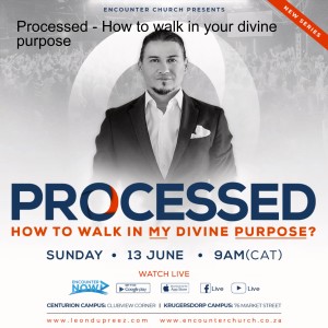 Processed: How To Walk In Your Divine Purpose