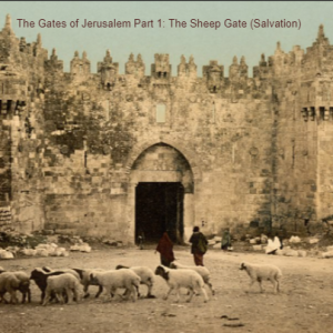 The Gates of Jerusalem Part 1: The Sheep Gate (Salvation)