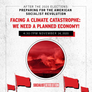 Facing a Climate Catastrophe: We Need a Planned Economy!