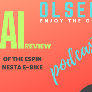 Espin Nesta E-bike Review- broken down by AI!