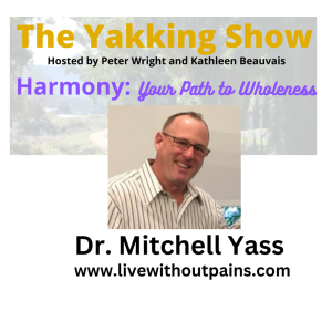Tired of temporary fixes for chronic pain?  Dr. Mitchell Yas EP 266