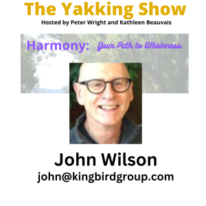 The Secrets to a Longer, Healthier Life with Biochemist John Wilson EP 296 audio