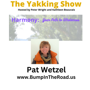 Bump in the Road: Overcoming Adversity & Finding Resilience | Pat Wetzel | EP 309 -audio