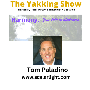 Unlocking the Healing Power of Scalar Light - Tom Paladino EP 317 - audio