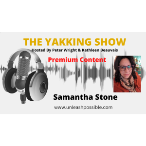 B2B Marketing Strategies For Challenging Times - Samantha Stone -audio