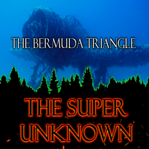 The SUPER UNKNOWN -THE BERMUDA TRIANGLE