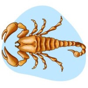 Scorpio March 2024 Horoscope Predictions