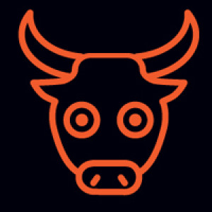 Taurus 2021 Yearly Horoscope