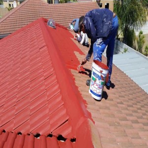What Determines the Average Roof Painting Cost?