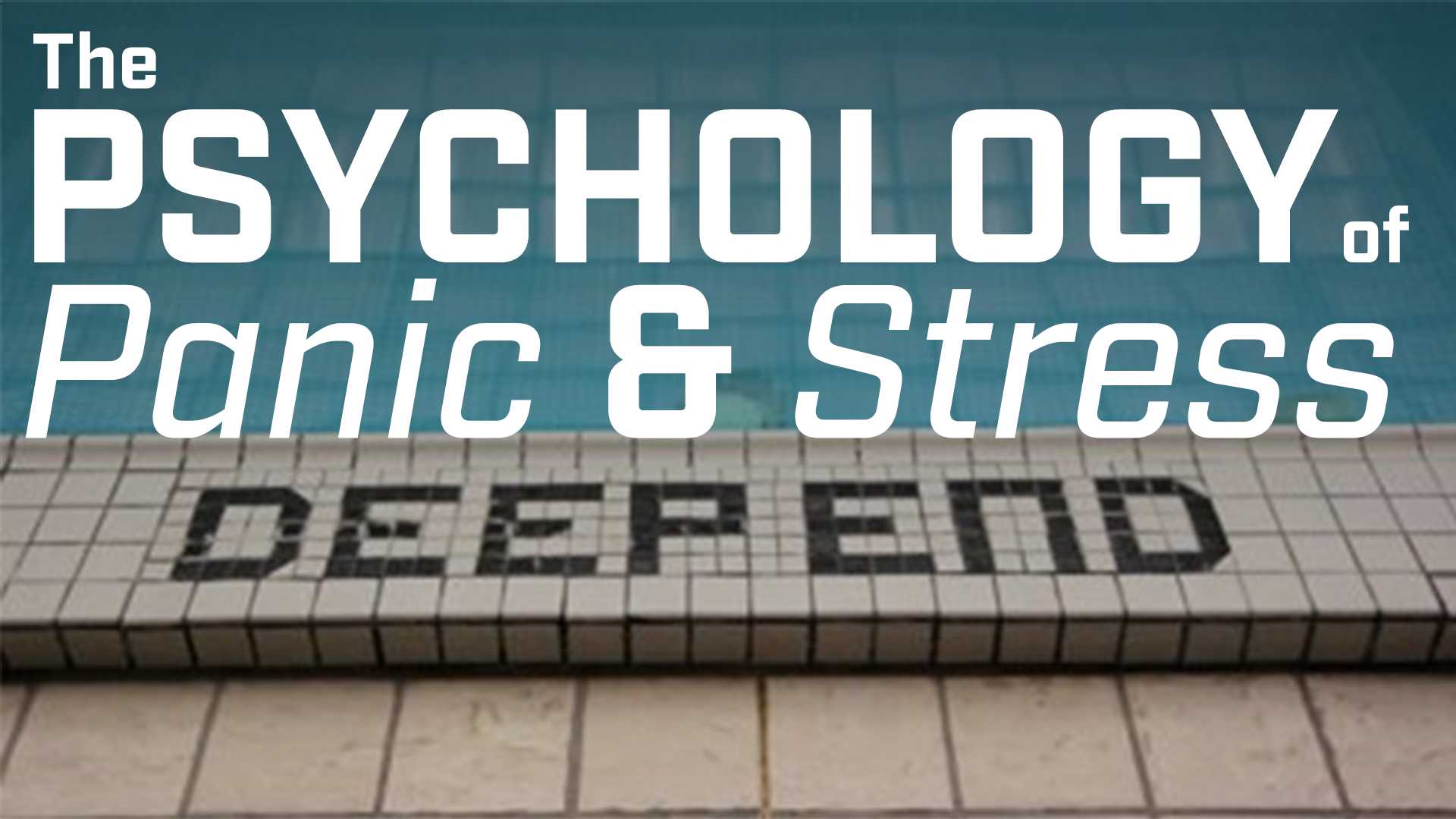 Stock Trading: The Psychology of Panic &amp; Stress 