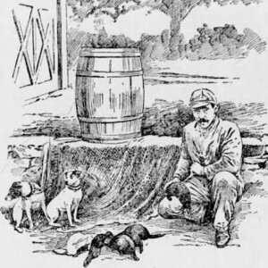 Louis Bossle: The Best Rat Catcher in the Land