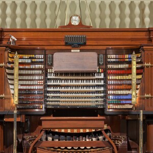 The Magnificent Wanamaker Organ