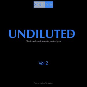 Soul A:M Pres UNDILUTED Vol 2