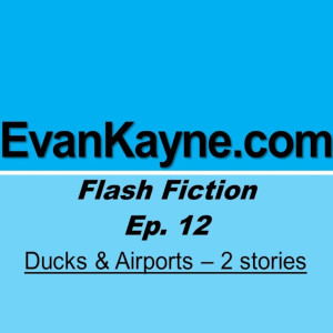 Ducks & Airports - Two Flash fiction stories