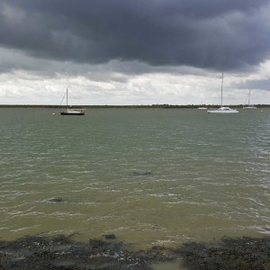 111 Soundscenes of estuary rain