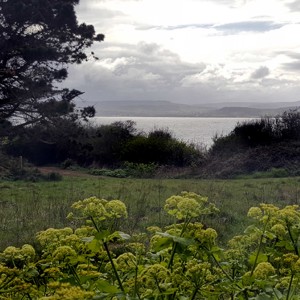 123 A sound-view from Orcombe Point on the Jurassic coast