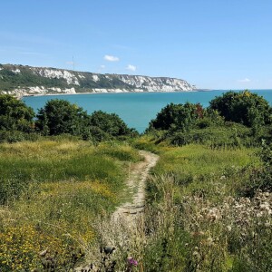 152 High above Folkestone beach