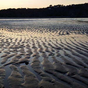 178 Waves of the intertidal zone (Don’t forget Lento’s built for headphones!)