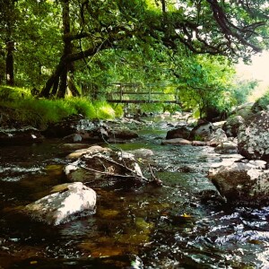 203 Dartmoor stream above waterfall gorge (part 2)