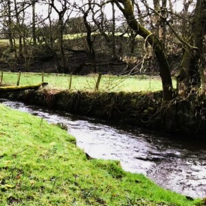 209 Downstream of the old mill