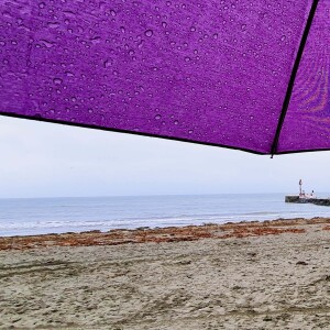 216 Sat on the sand of East Looe beach