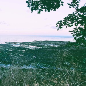 241 Natural white noise from Folkestone Warren beach at night (sleep safe)