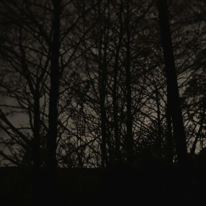 267 Hidden dell at night (sleep safe)