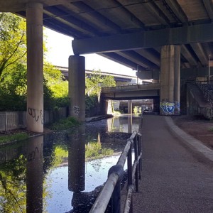 The tunnel, the towpath and the window - under the M6 at Spaghetti Junction